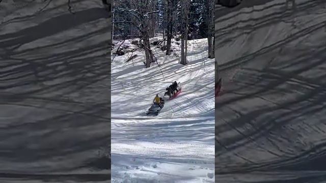 Зимние бананы от компании Планета Вода.