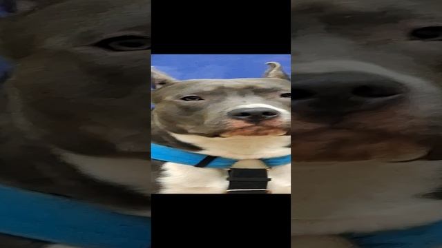 1000097031.mp4