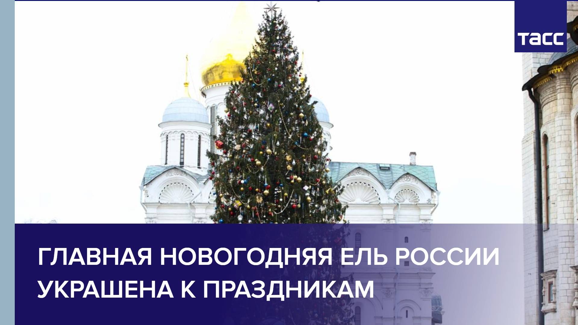 Главная новогодняя ель России украшена к праздникам