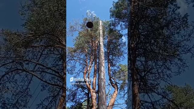 Здесь света уже нету