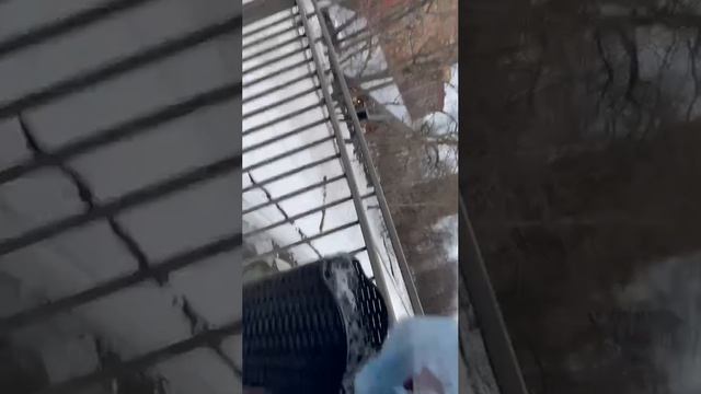 Зарисовки из жизни тожероссиянина, недавно оформившего себе гражданство !!!