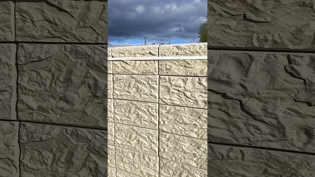 1000082960.mp4