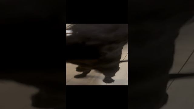 1000051587.mp4