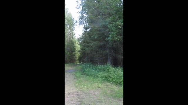 Эх, Рассейская дорога!..