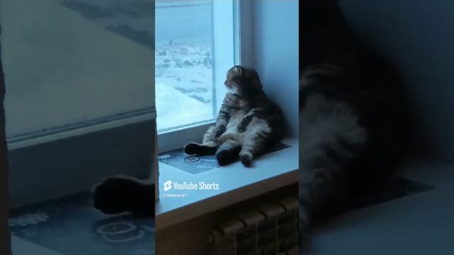 Муж попросил сегодня вечером удивить.mp4