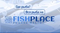 Делаем карточку продукции привлекательной и ускоряем процесс ее продажи на 15-20%.