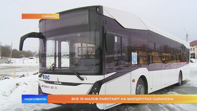 Все 15 МАЗов работают на маршрутах Саранска