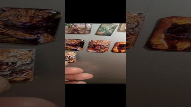 VID_20241223_194207.mp4