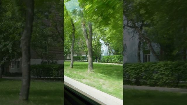 летний влог 🍗отдых на природе  #vlog #уютныйвлог #отдыхнаприроде
