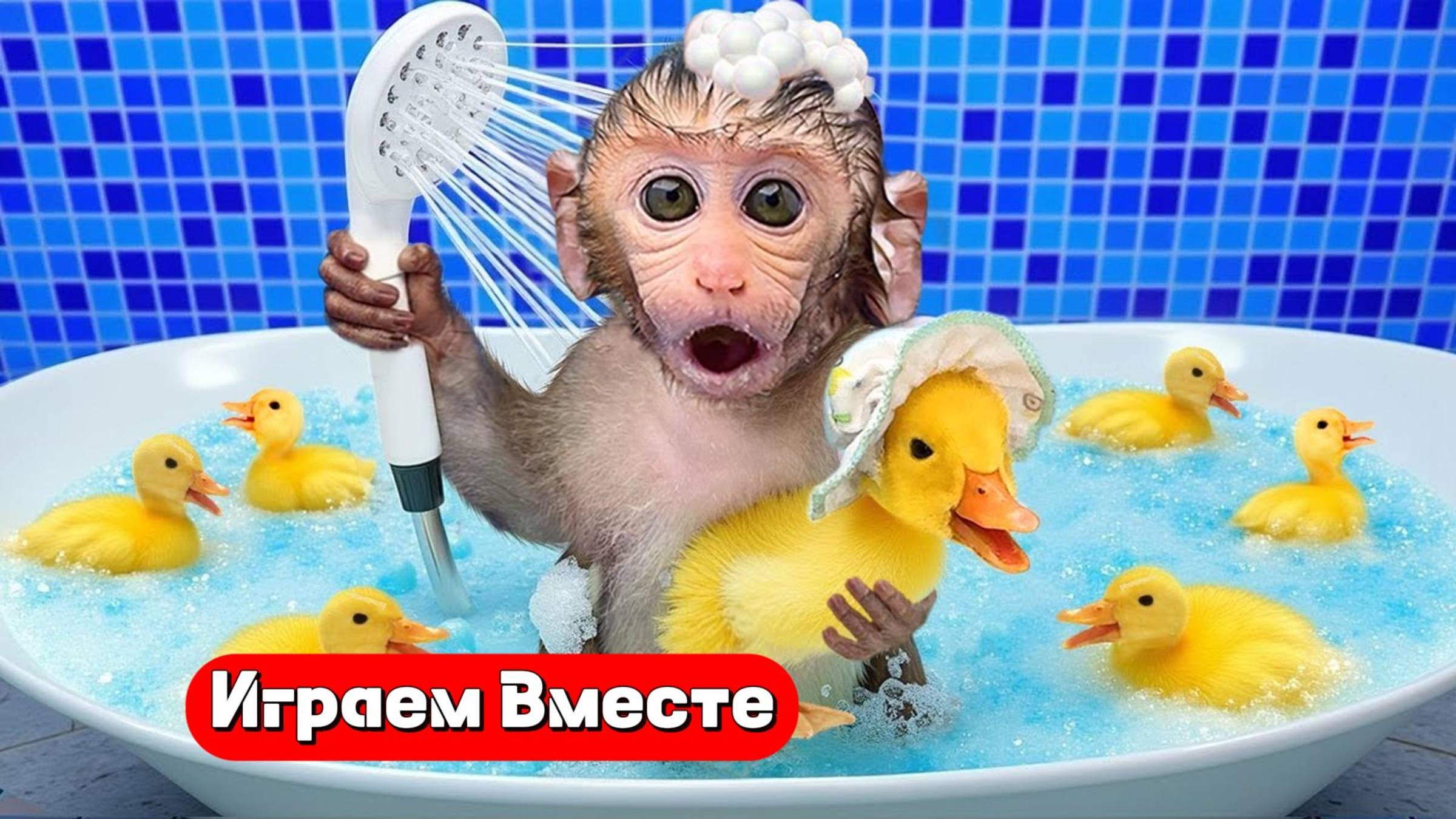 Приключения с Обезьянкой 🐒 Моем уточку и играем с друзьями 🦆 Видео для детей