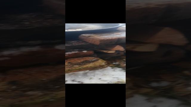 VID_20241116_135033.mp4