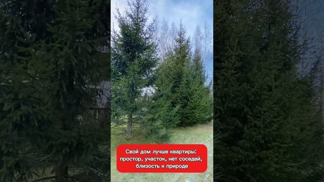 Озерная 7