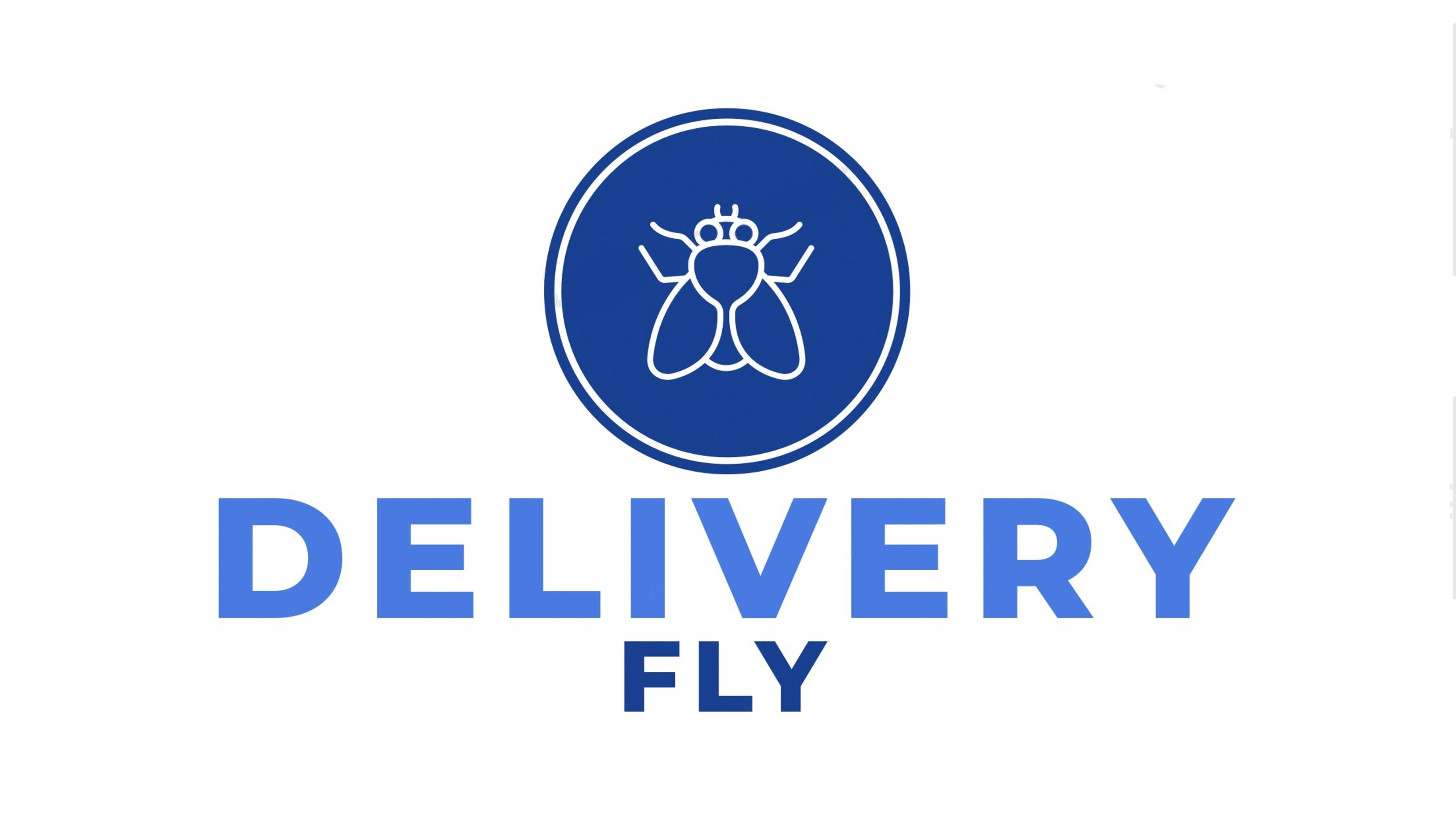 Визитка проектной команды DeliveryFly