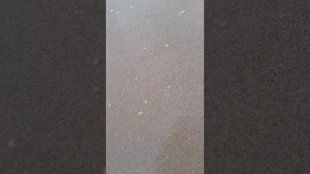 Абхазия песочный пляж