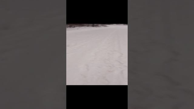 1000023123.mp4