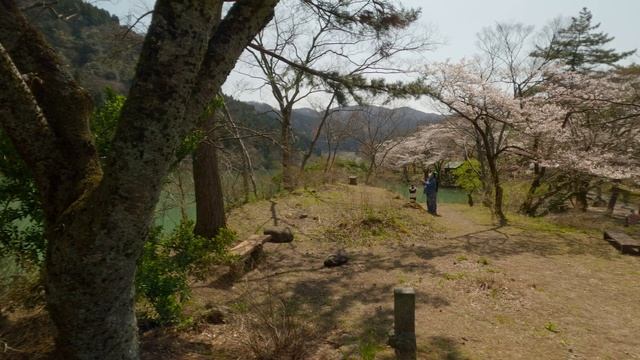 Сезон Ханами в Тояме, Мемориальный водный парк Шогава, 30 марта 2023 г.