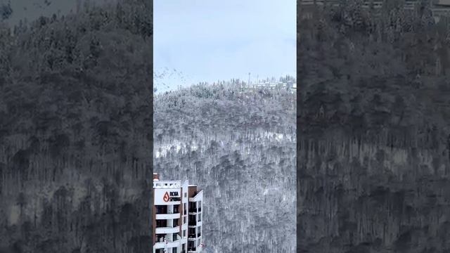 1000071188.mp4