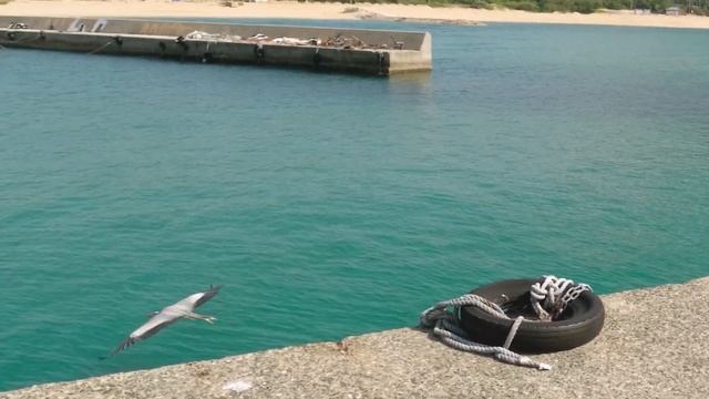 День 4, Часть 2: Мыс Кейя Но Охто: грот, лес, пляж. 15 мая 2023 г.