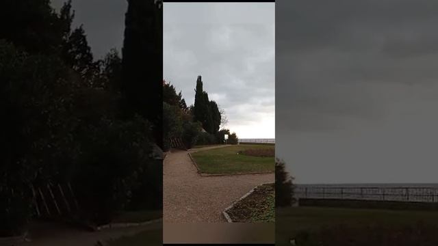 Платаны Воронцовского парка.