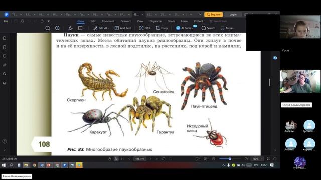 8 класс_23.12_29_Паукообразные