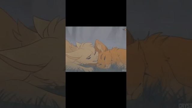 коты воители#.трэлер котов воителей#.