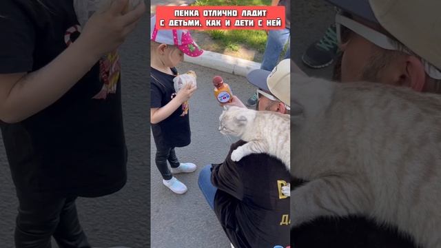 Пенка и послушать красавица.интервью