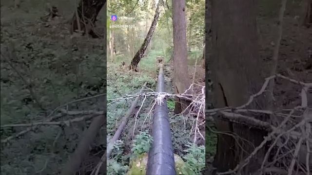 1000044442.mp4