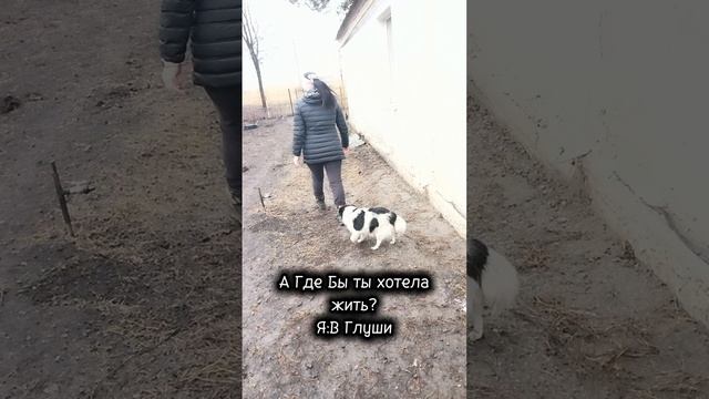 а где вы хотите жить?