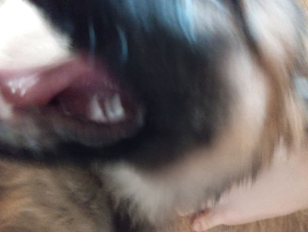 о͇б͇н͇и͇щ͇а͇н͇и͇е͇ н͇а͇ 1͇0͇ п͇о͇д͇п͇и͇с͇щ͇и͇к͇о͇в͇