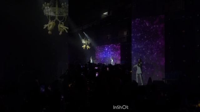 Дуэт воздушных гимнасток на люстре "Kazantseva show", Санкт-Петербург.