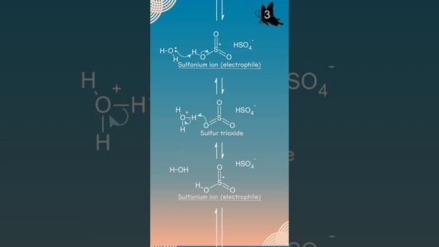 Sulfonation of benzene