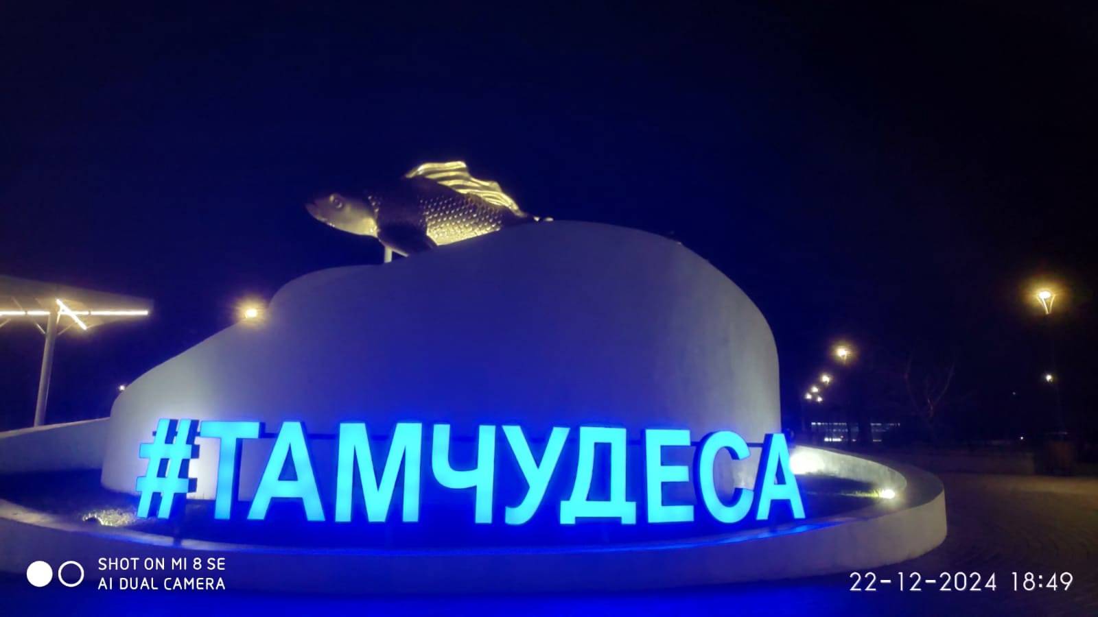 Где чудеса?Что делать?Крик души...