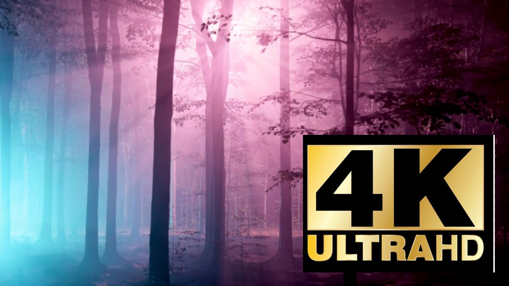 4К ultra HD