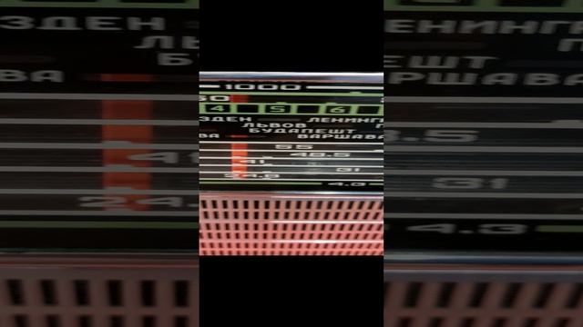 1000020700.mp4