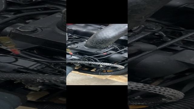 Японский дизельный двигатель YANMAR 3TN84