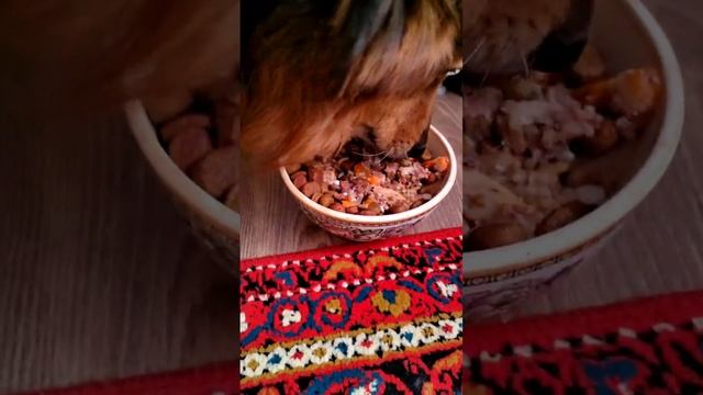 video_2024-12-23_16-32-37