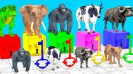 ЖИВОТНЫЕ|Яркие ЦВЕТА |
Животные для детей ¦ Учим Домашних Животных ¦ 3Д Анимация ¦ Учим Цвета