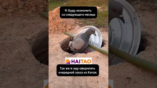 Мы знаем всё о китайских маркетплейсах
