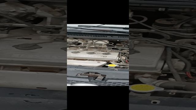 VID_20241117_140213