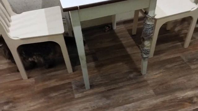 Виброжукомышь
