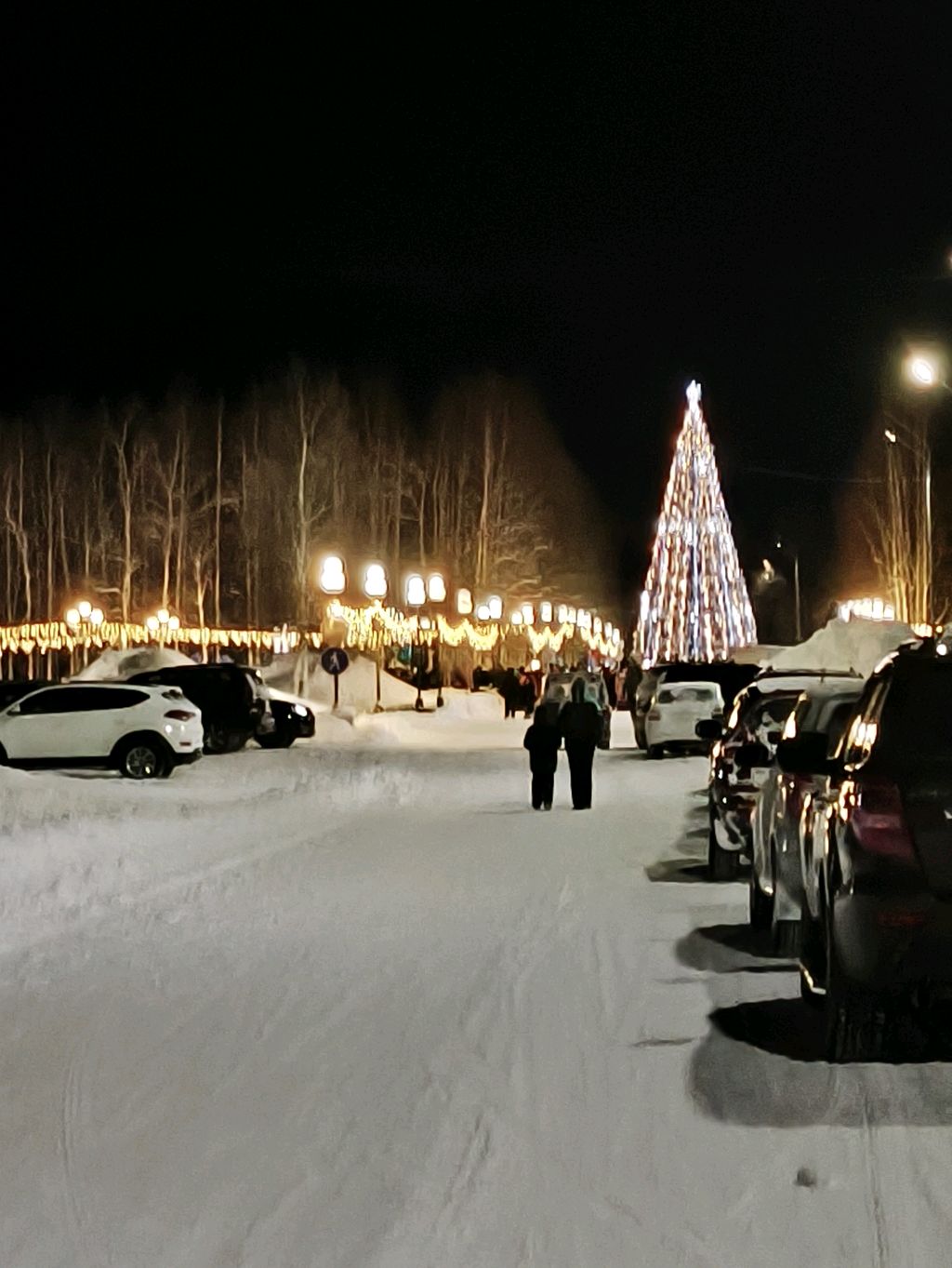 Открытие снежного городка на центральной площади
23.12.2024г