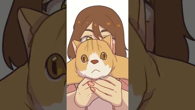 кошка анимация
