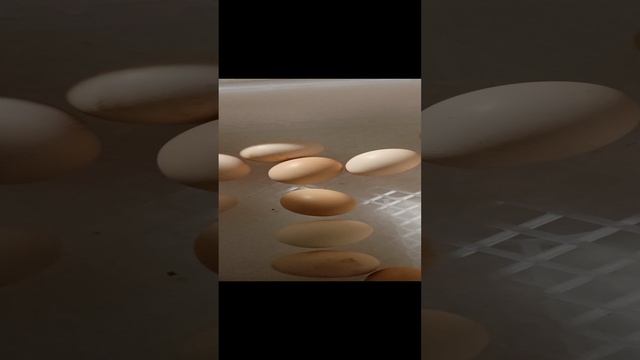 🐣😊цыплята