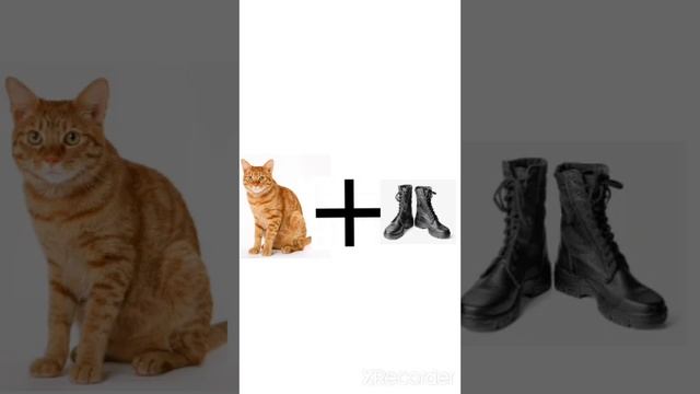 Коты+???=??? #shorts