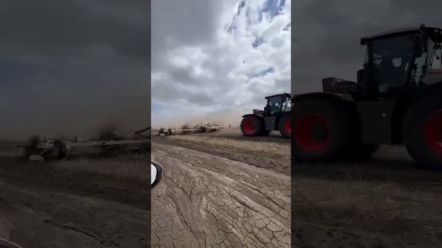 1000022195.mp4