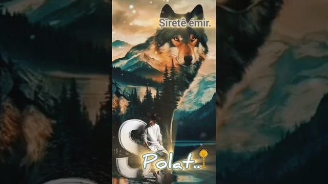 Suto Polat.. -  Shirate amir ( Şîretê émir) !#shorts