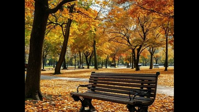 Опустевшая скамейка в парке