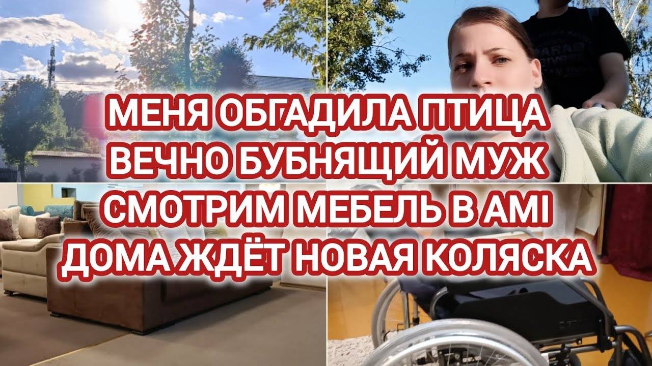 VLOG | МЕНЯ ОБГАДИЛА ПТИЦА | ВЕЧНО БУБНЯЩИЙ МУЖ | СМОТРИМ МЕБЕЛЬ В AMI | ДОМА ЖДЁТ НОВАЯ КОЛЯСКА