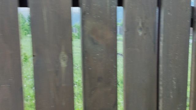 Обзор места отдыха на Алтае.