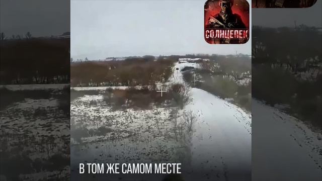 Курский фронт. Охота продолжается